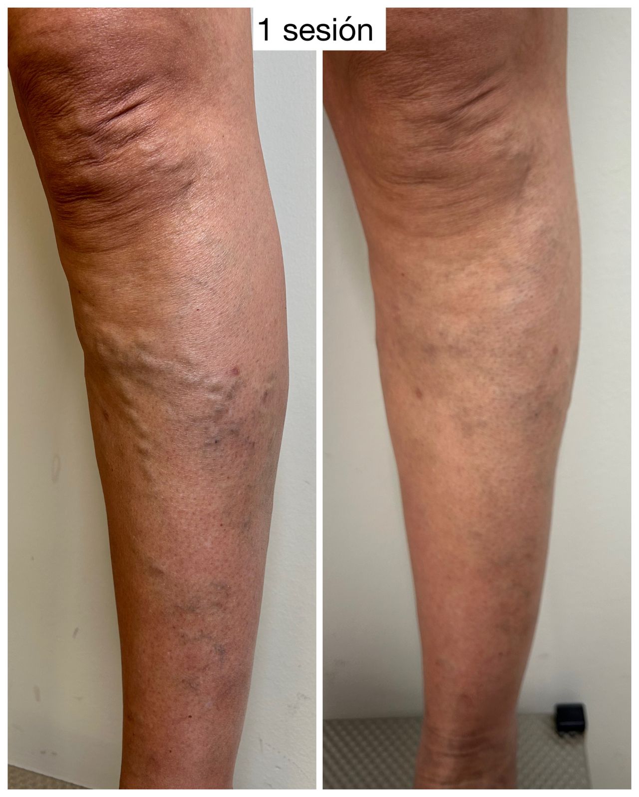 Paulina Pérez Ramírez-11