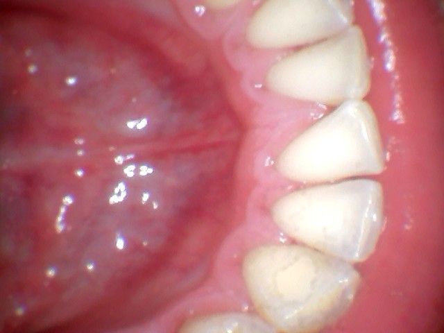 Michaela Houšková, Dis.et Dis.-8