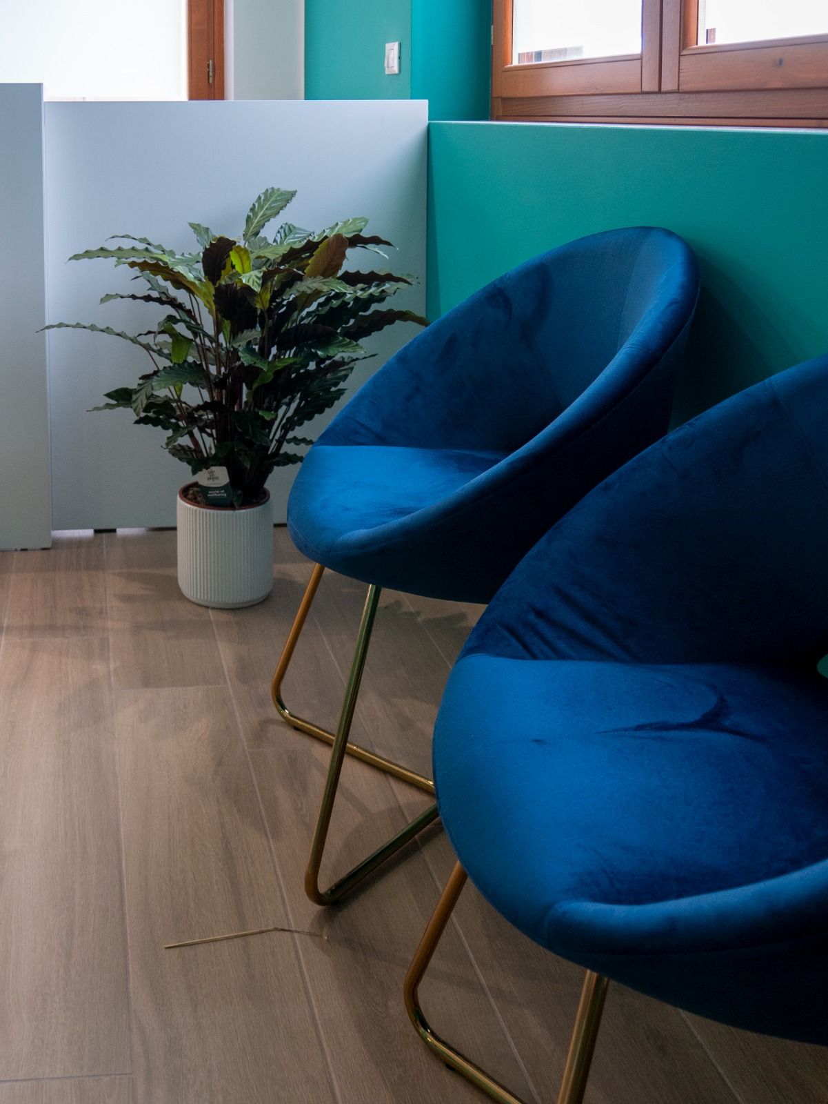 Mattia De Giovanni-1