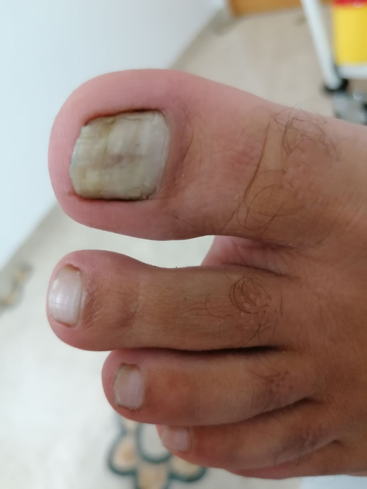 Kassandra Nicolosi-14