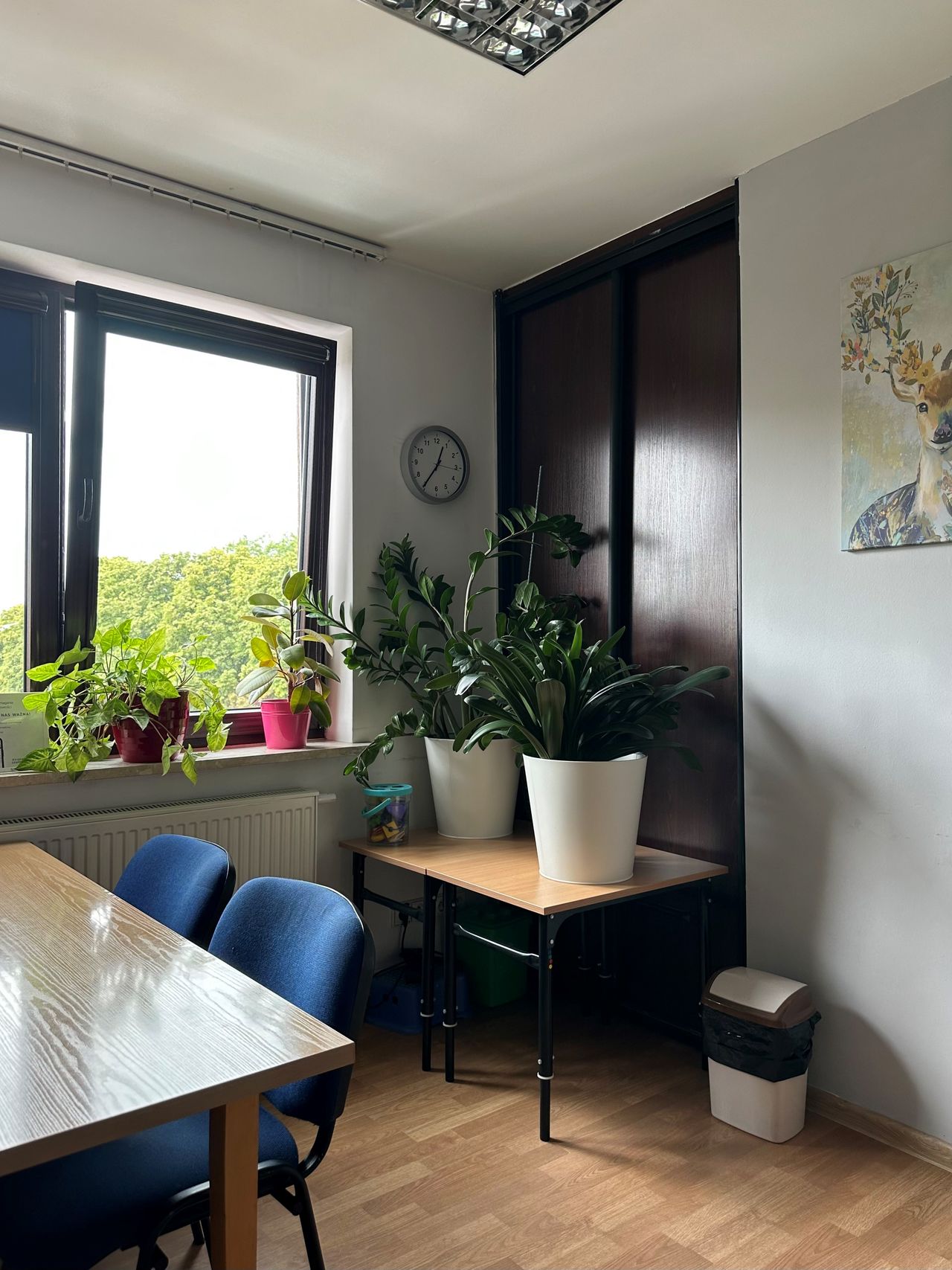 Małgorzata Matraszek-5