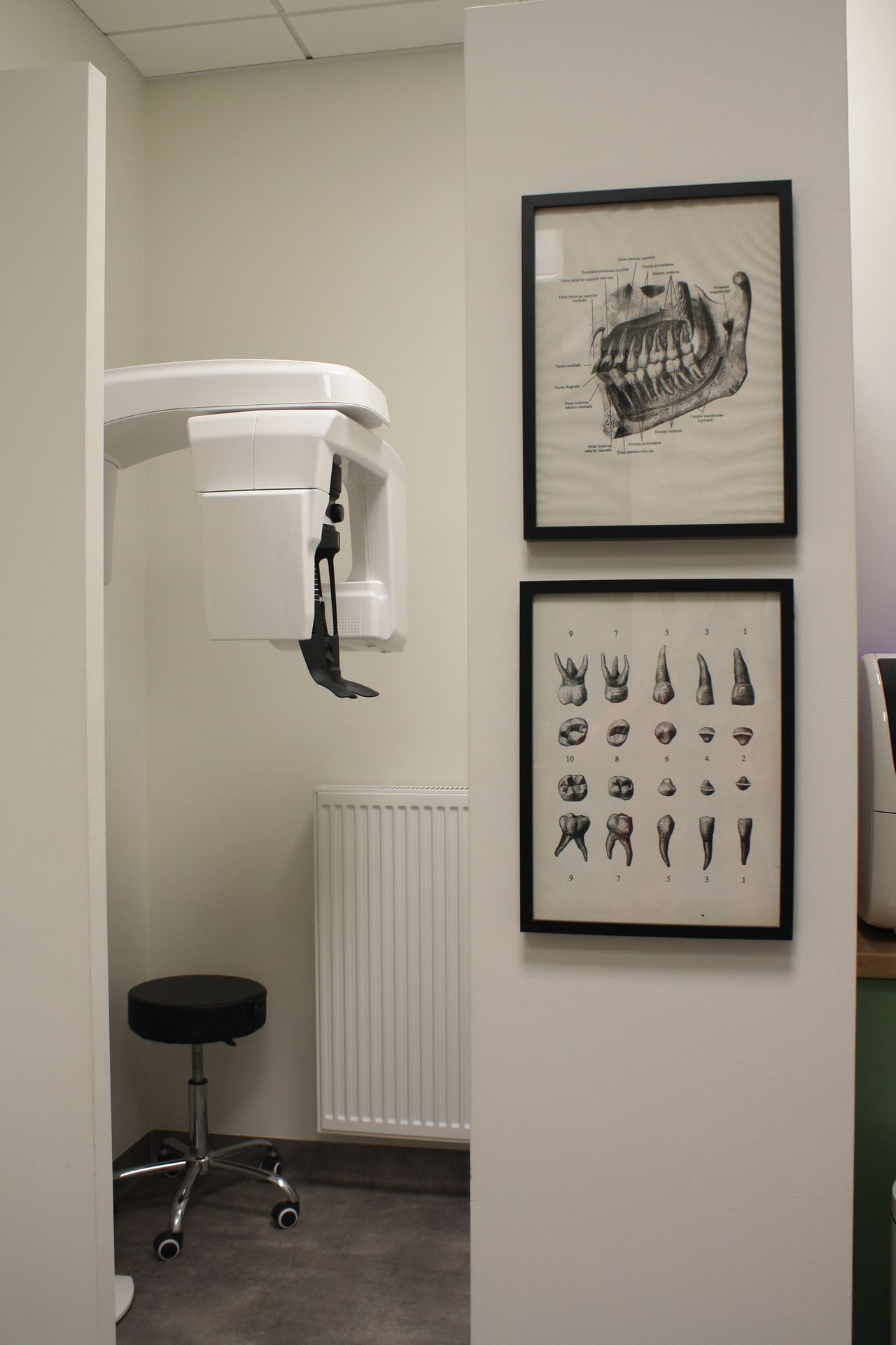 Katarzyna Żywiecka-6