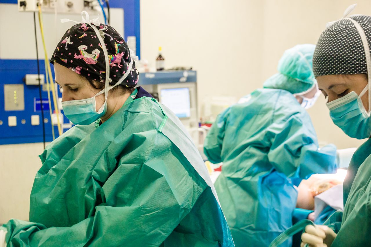 Juan Carlos Meneu Díaz-23