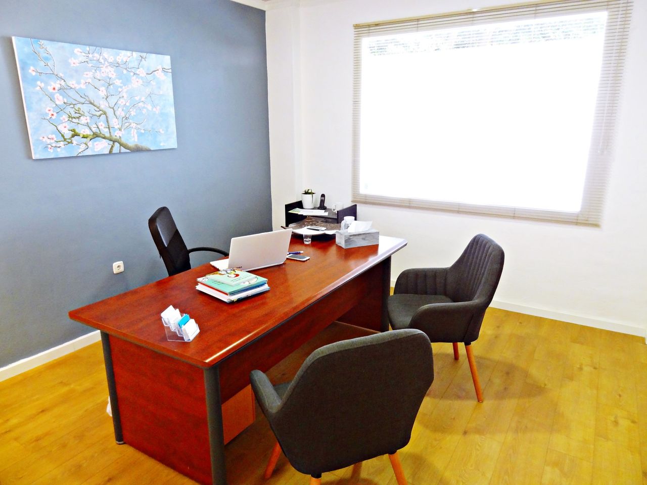 Nieves López-Brea Serrat-3