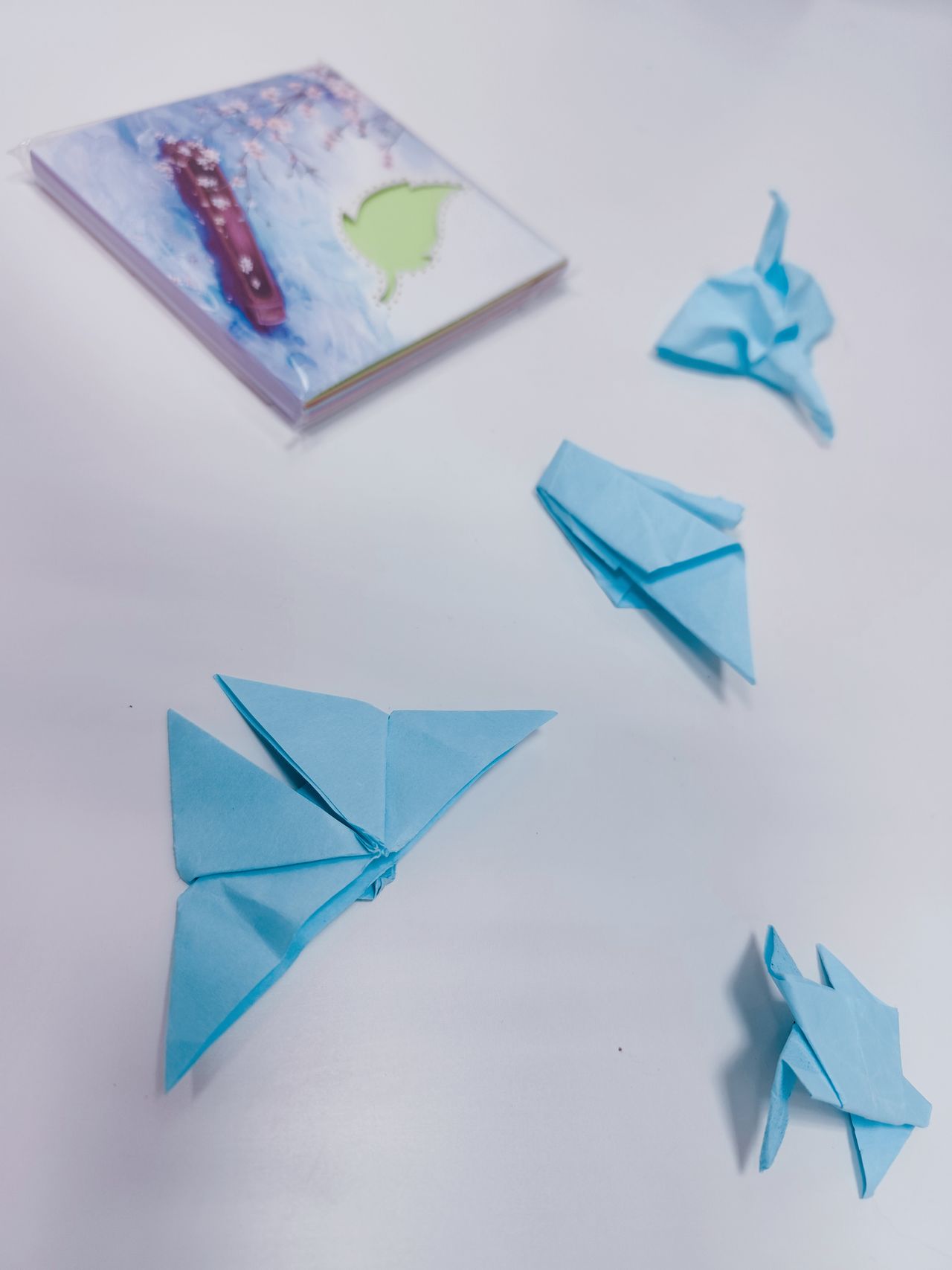 Daria Maciejewska-29