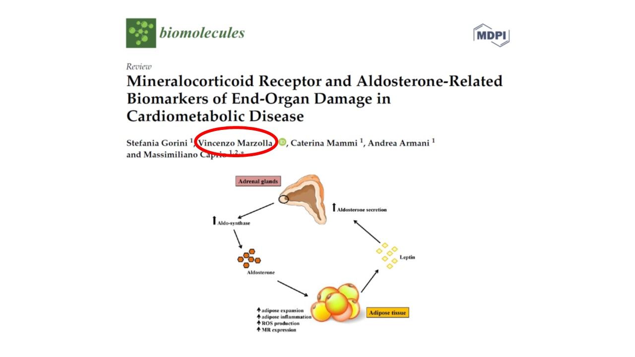 Vincenzo Marzolla-25