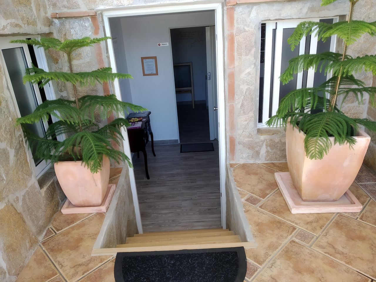 Alicia Garrido Guillen-1