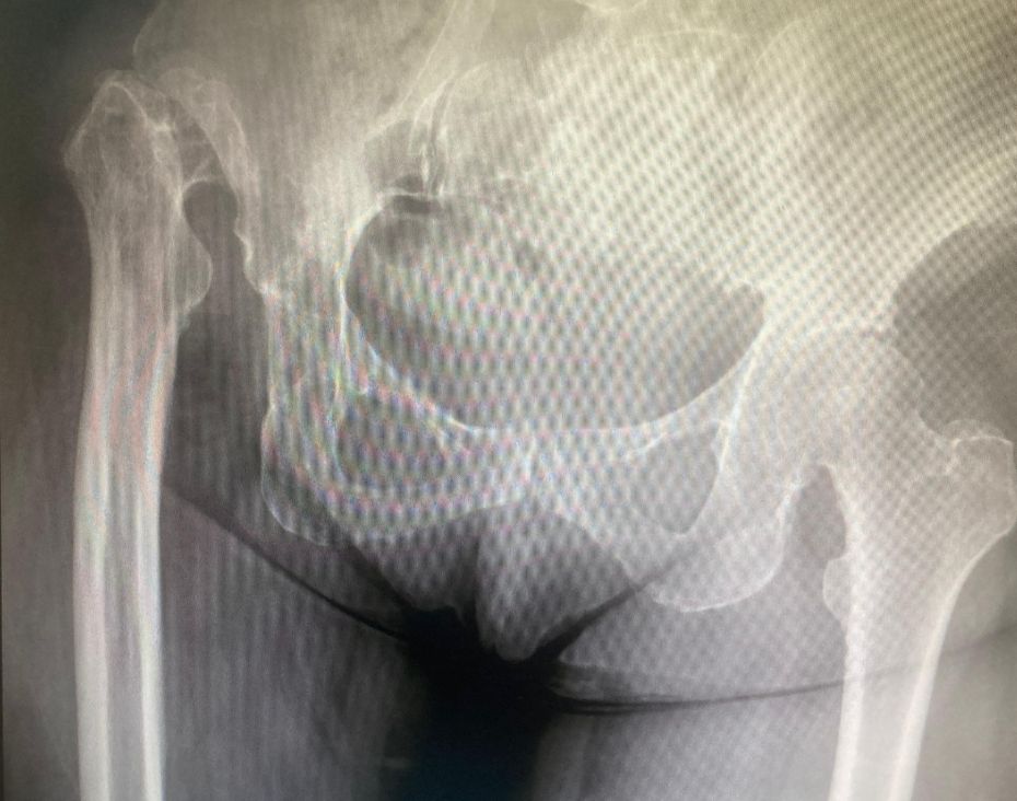 Nizamettin Güzel-12