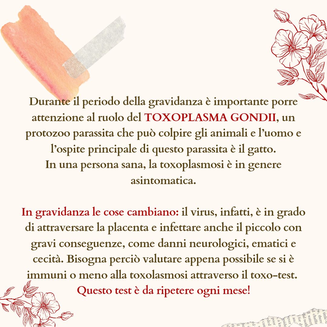 Francesca Delle Grottaglie-1