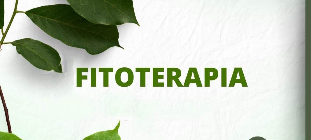 Francesca Intermite-4