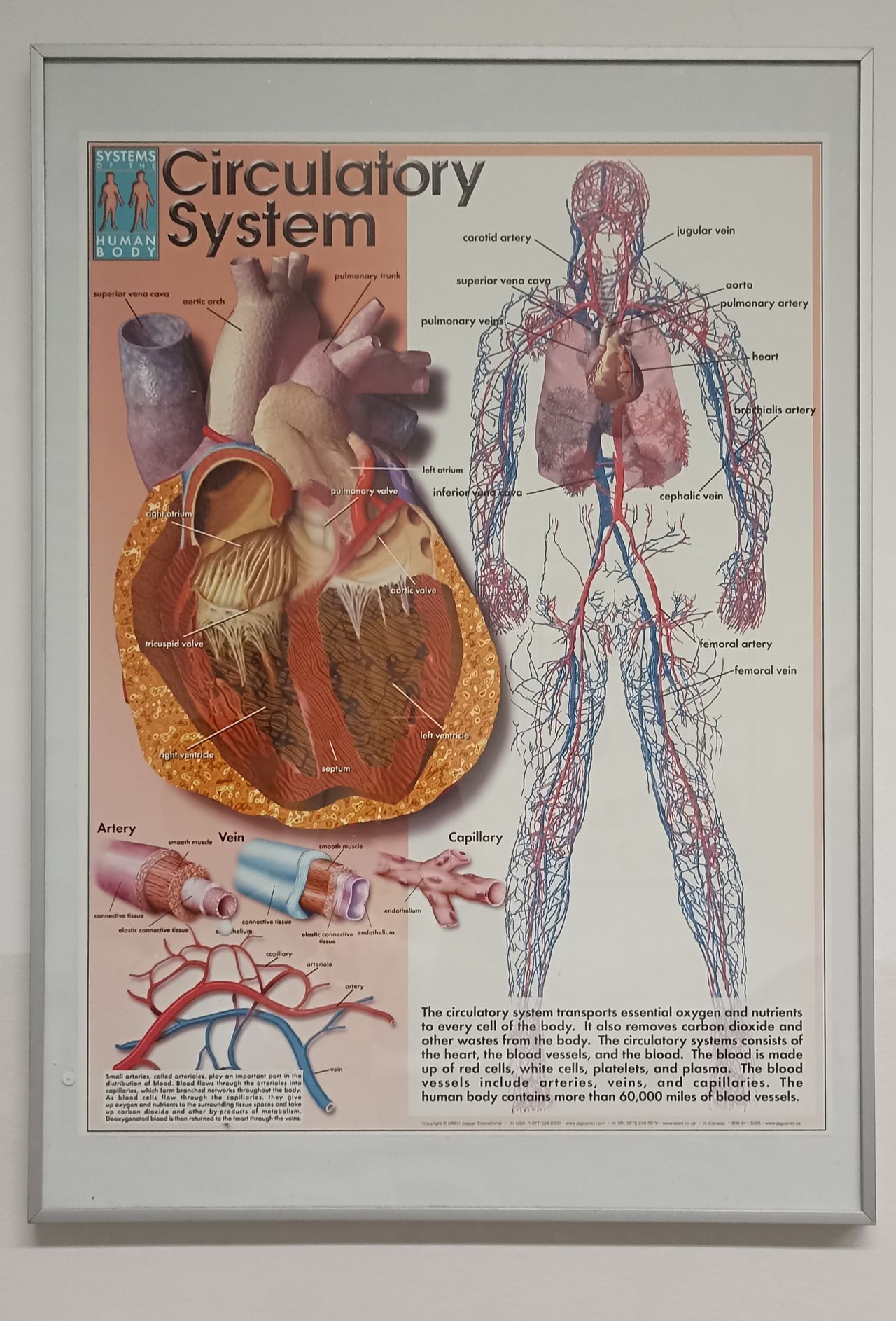 Massimiliano Masuri-5