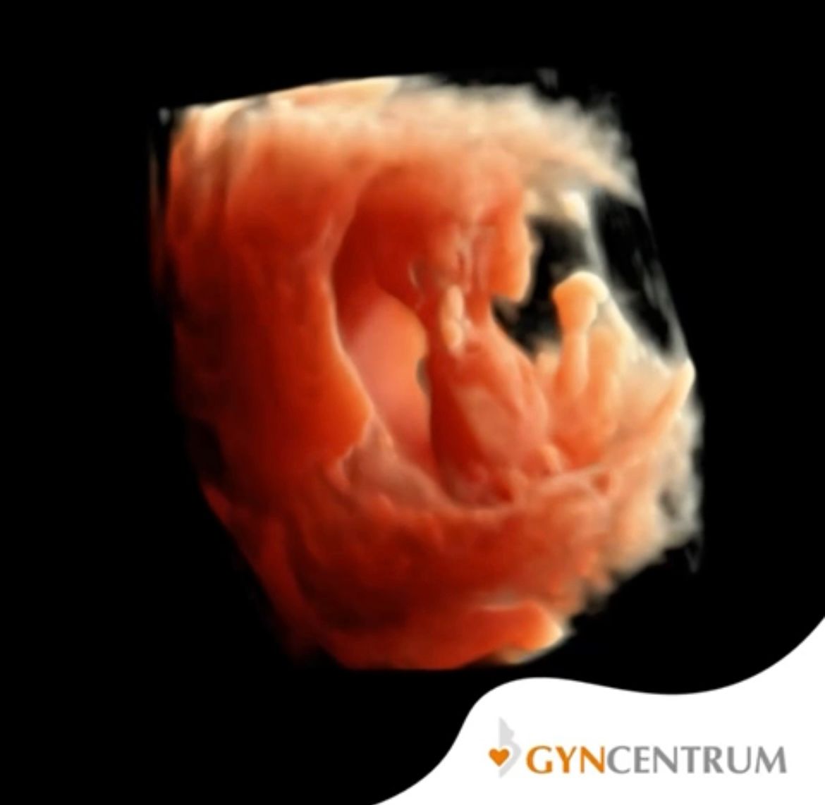 Wioletta Rozmus-Warcholińska-59