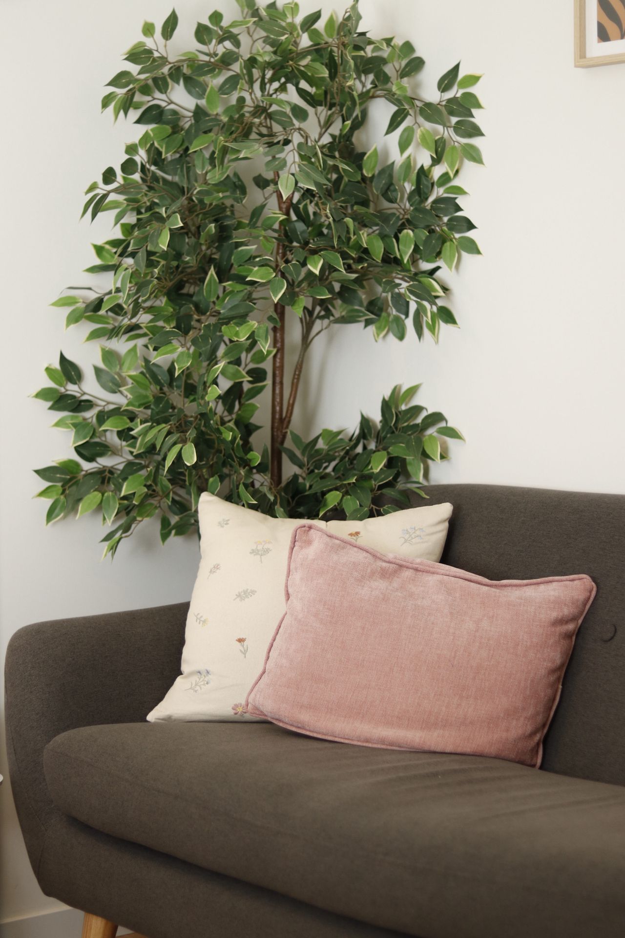 Silvia Petkova Petkova-6