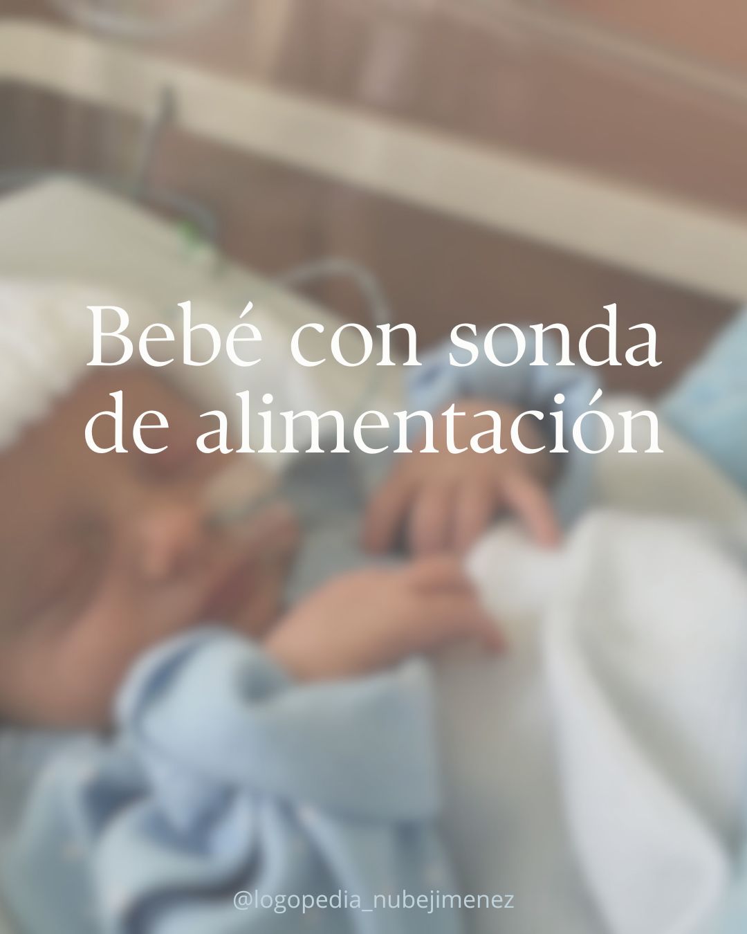 Nube Jiménez Palma-7