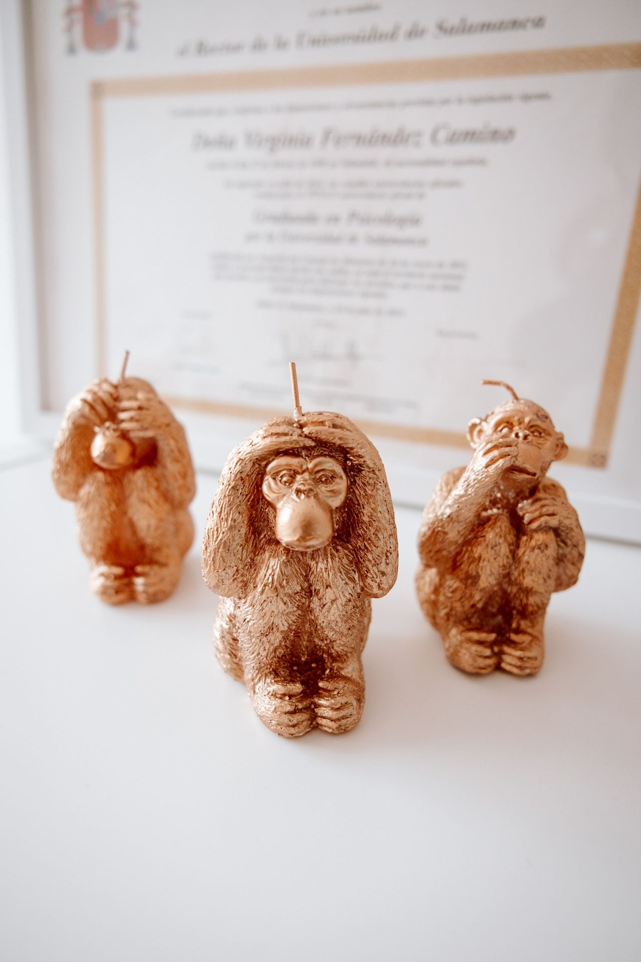 Virginia Fernández Camino-3