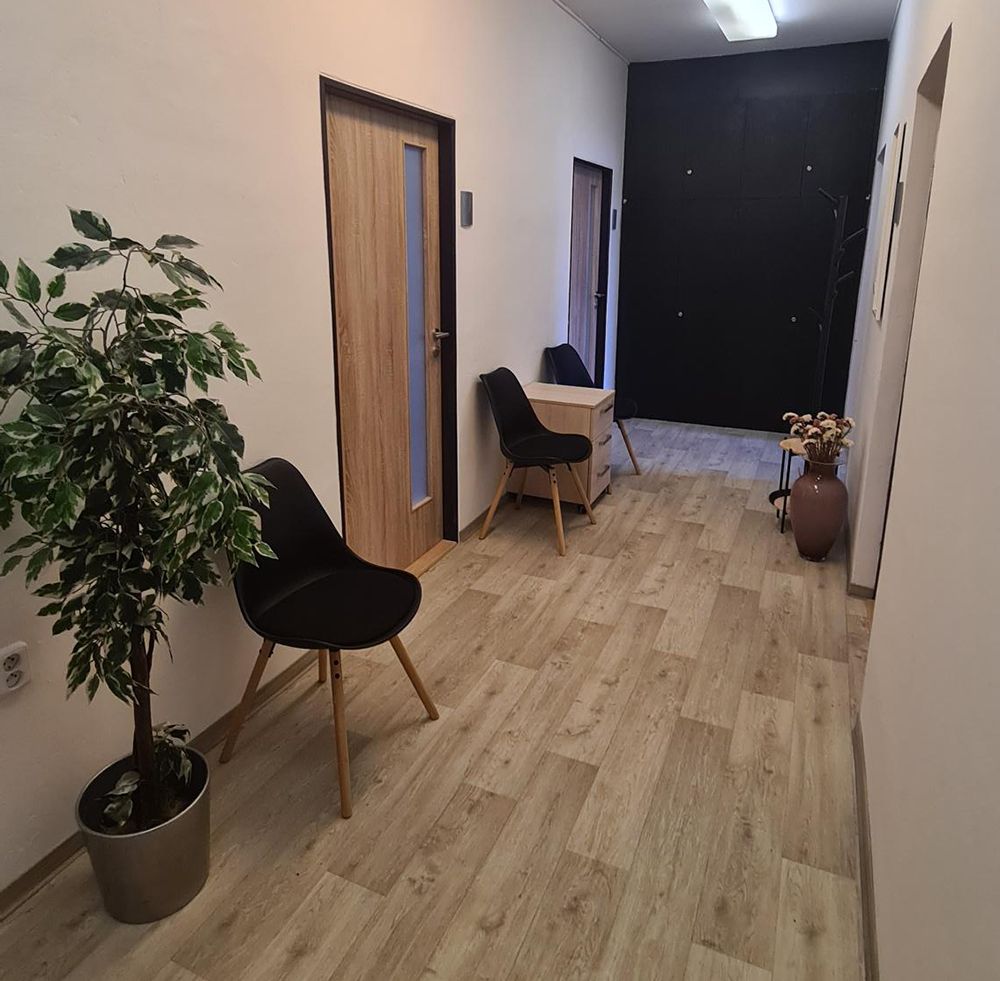 Jana Kotoučková, Dis.-1