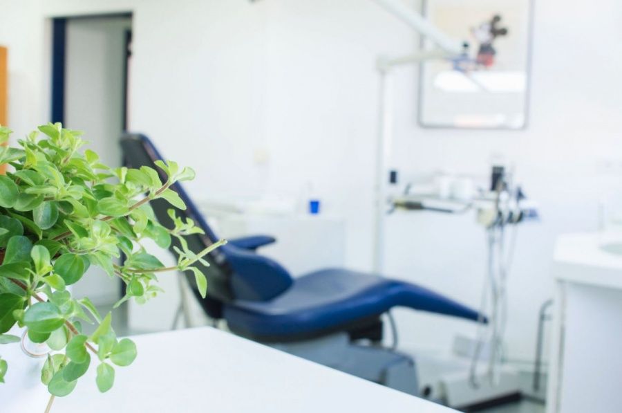 Petra Schorm-Ewers-2