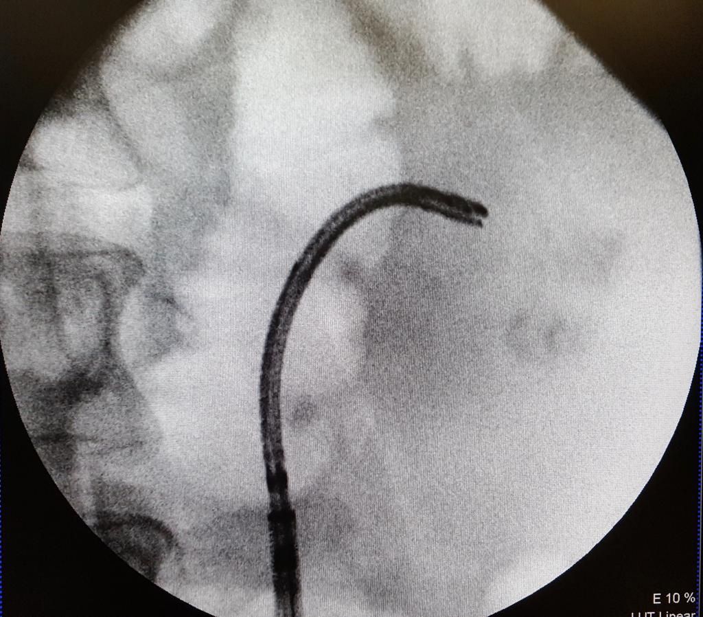 Josep Maria Auguet Martín-12