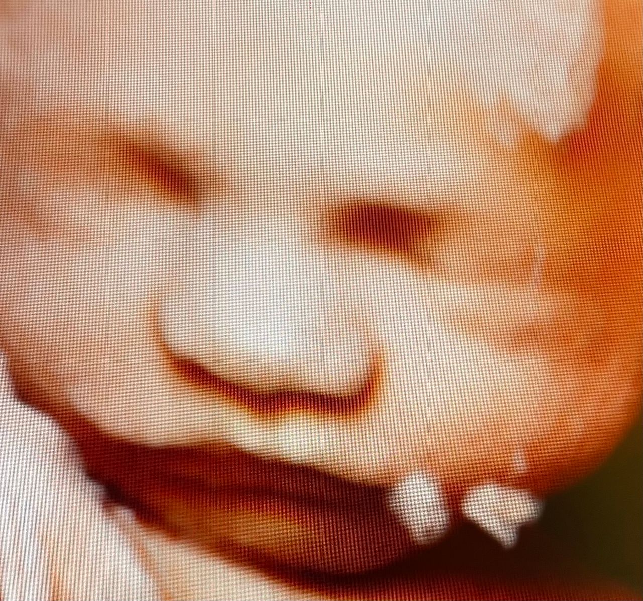 Andrzej Kałamacki-42