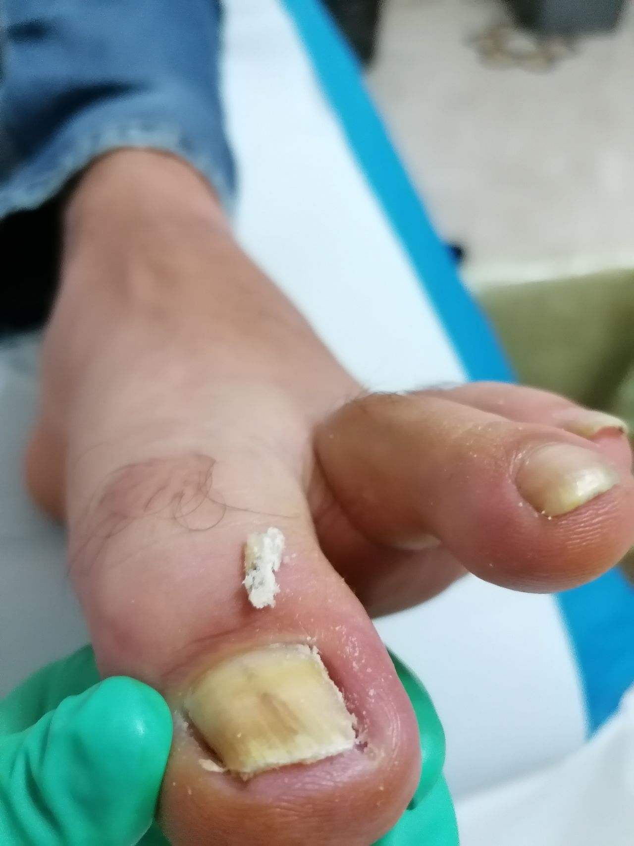 Kassandra Nicolosi-275