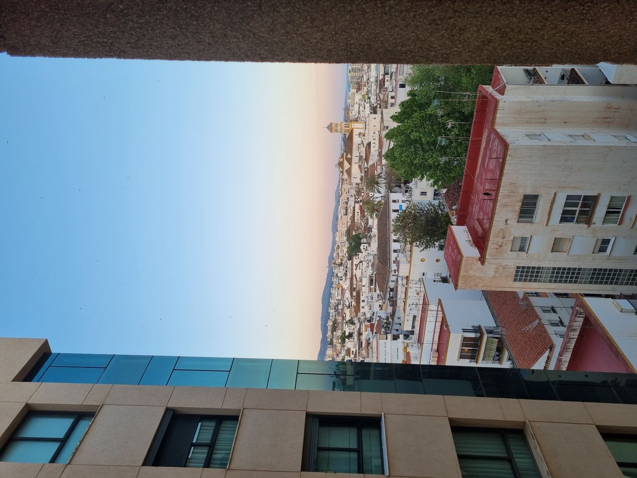 Leticia Aguilar Iborra-4