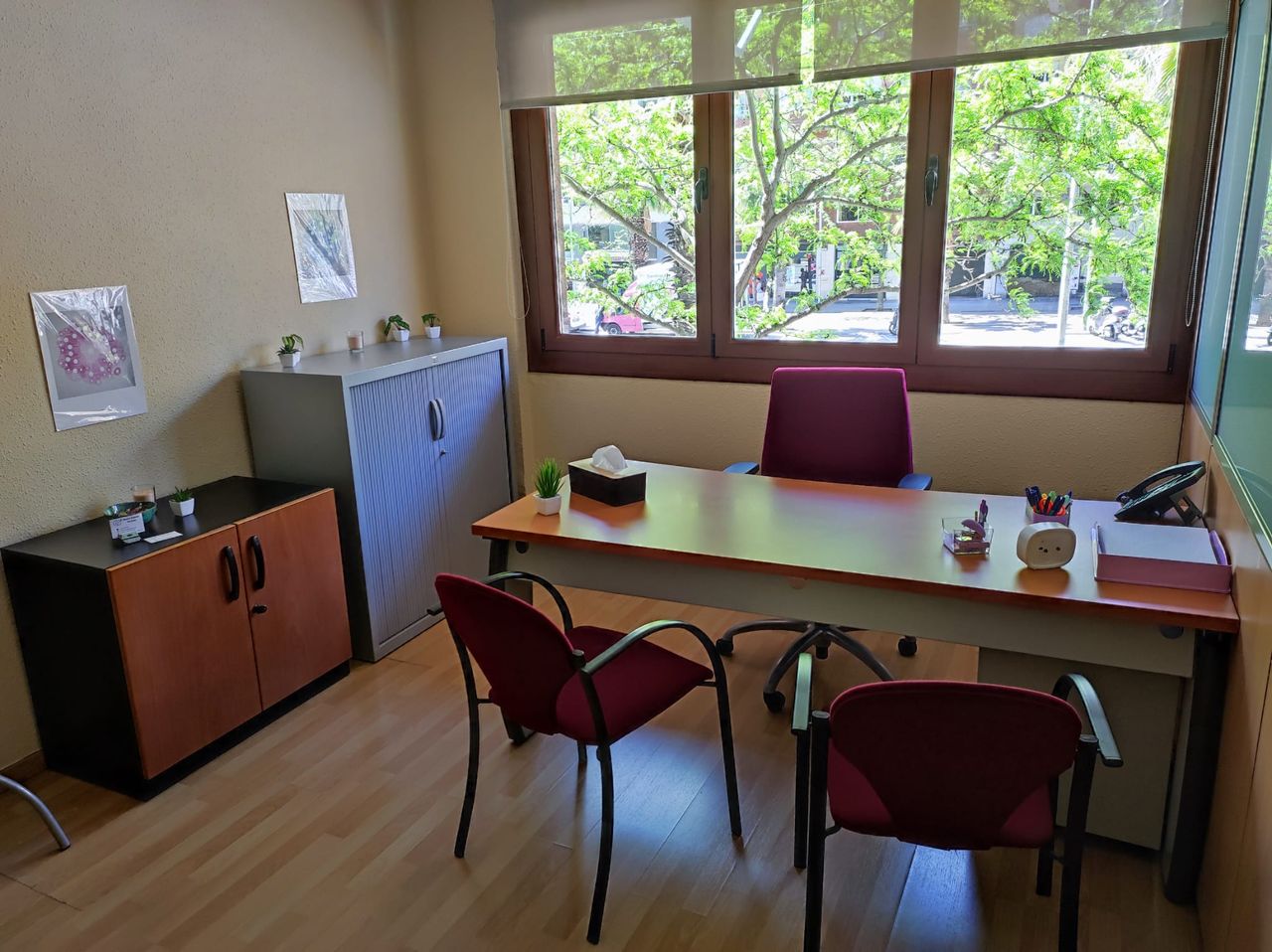 Elisabet Céspedes Borrisser-0