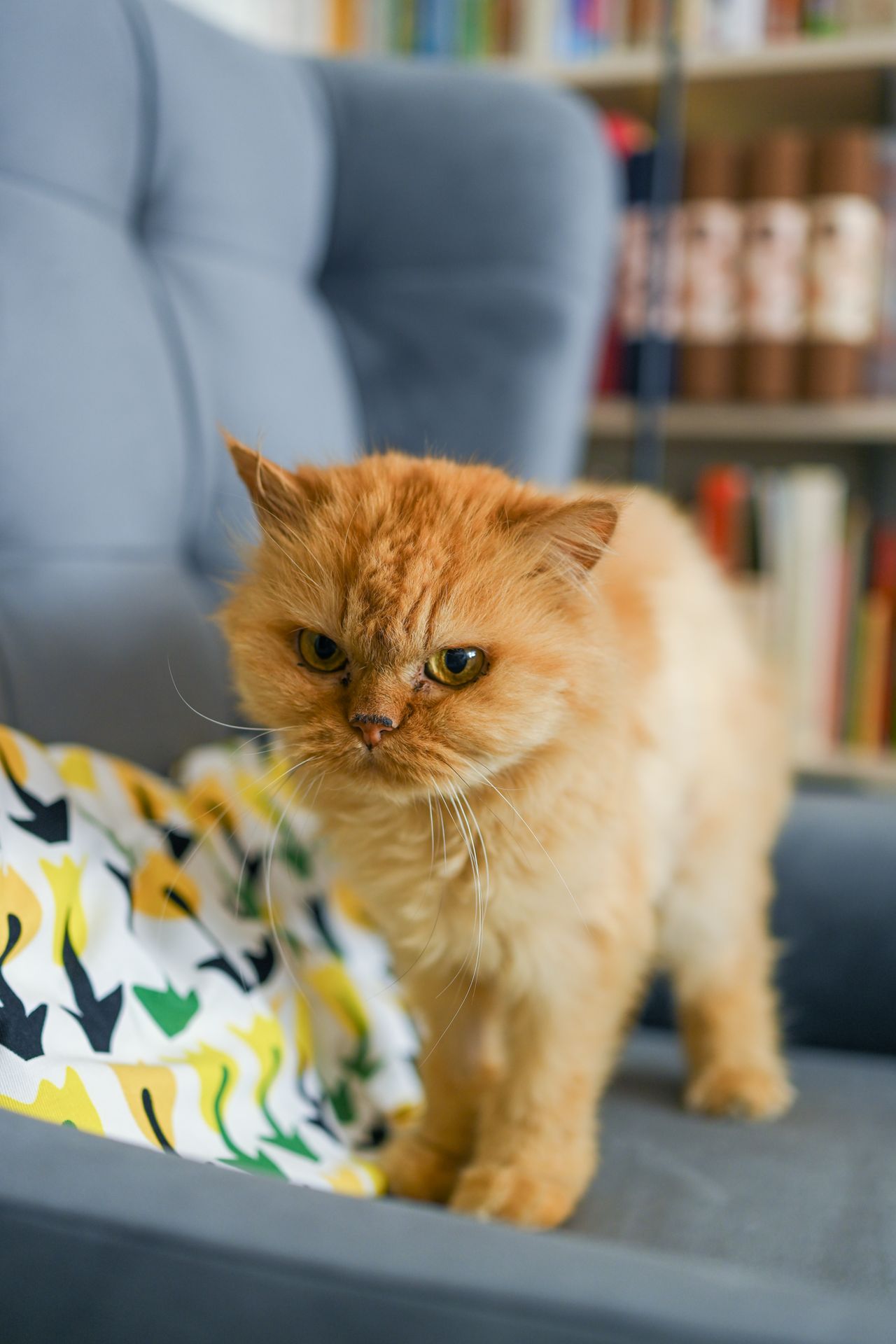 Magdalena Lipowska-5