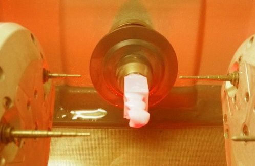 Stephanie Bader-Wolf-5