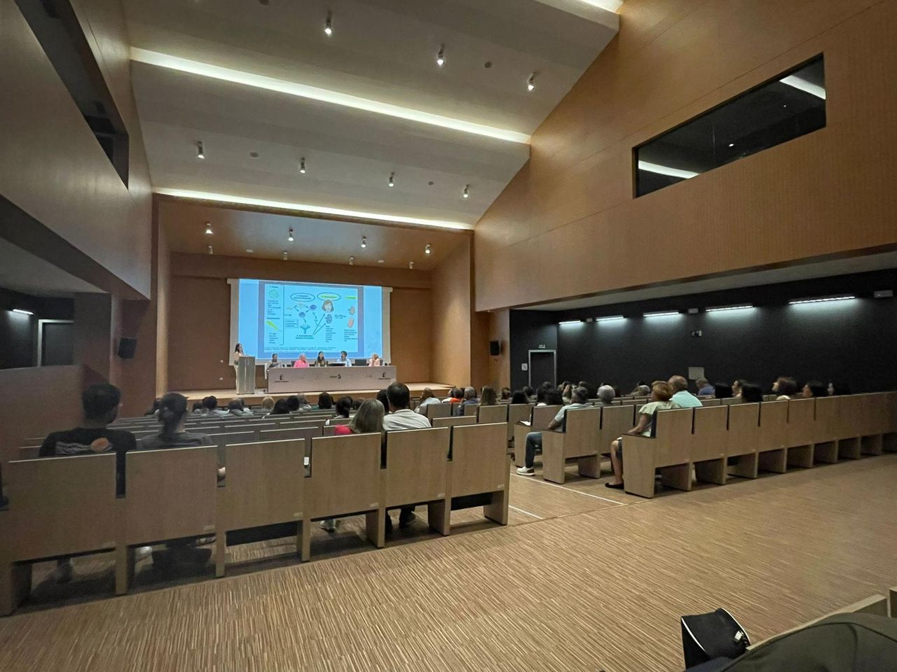 Nicoleta State State-19