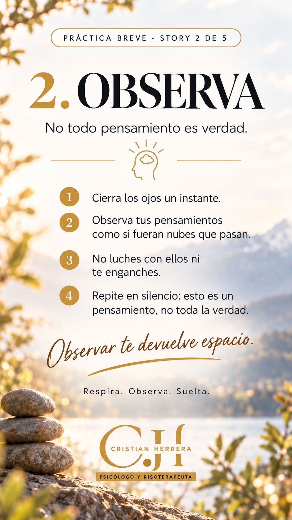 Cristian Herrera Viera-10