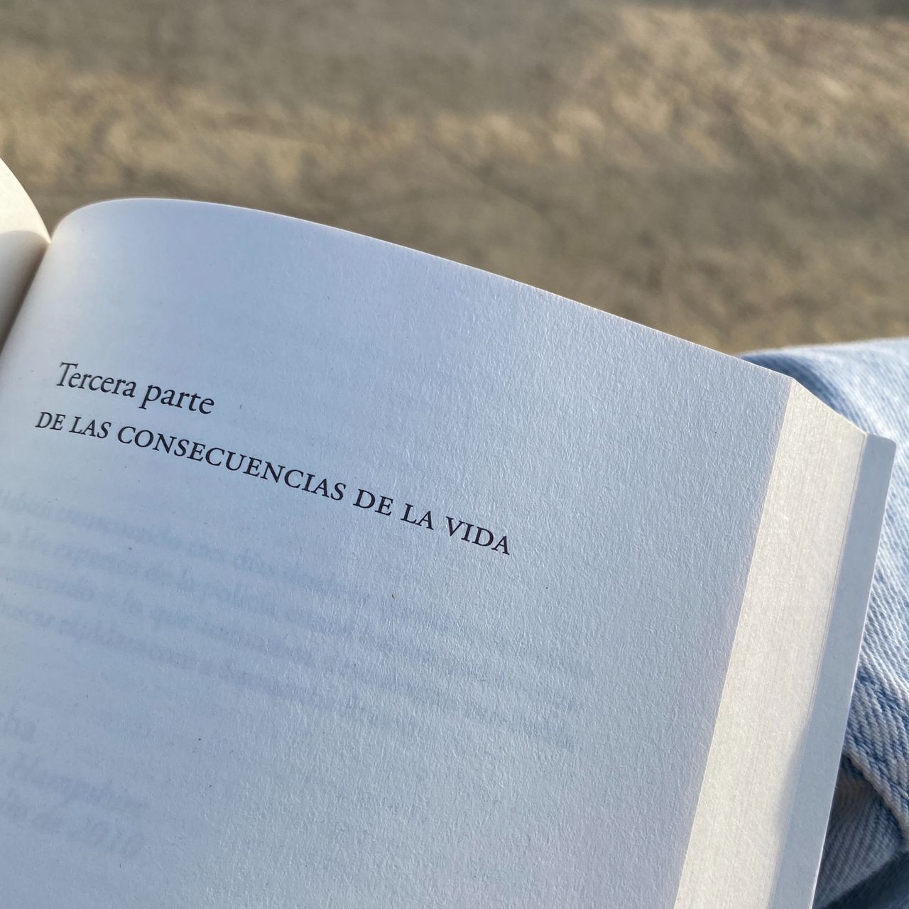 Berta Roca Rodríguez-0