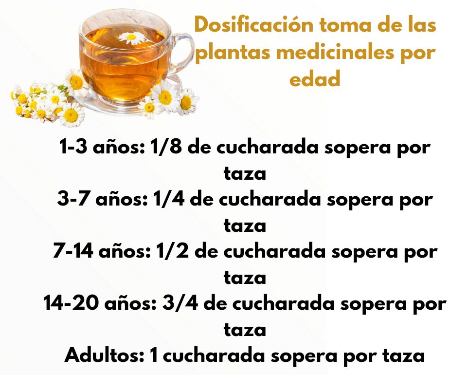 Beatriz Beltran Jordá-27