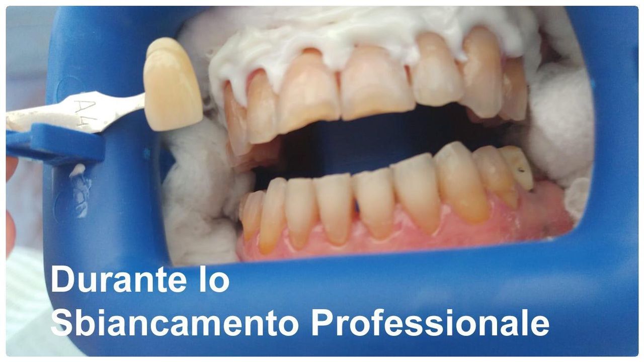 Michelina Borrelli-8