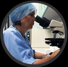 Maria Gabriella Bafaro-1