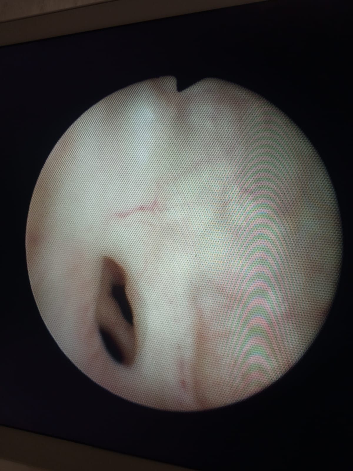 Salvatore Dioguardi-0