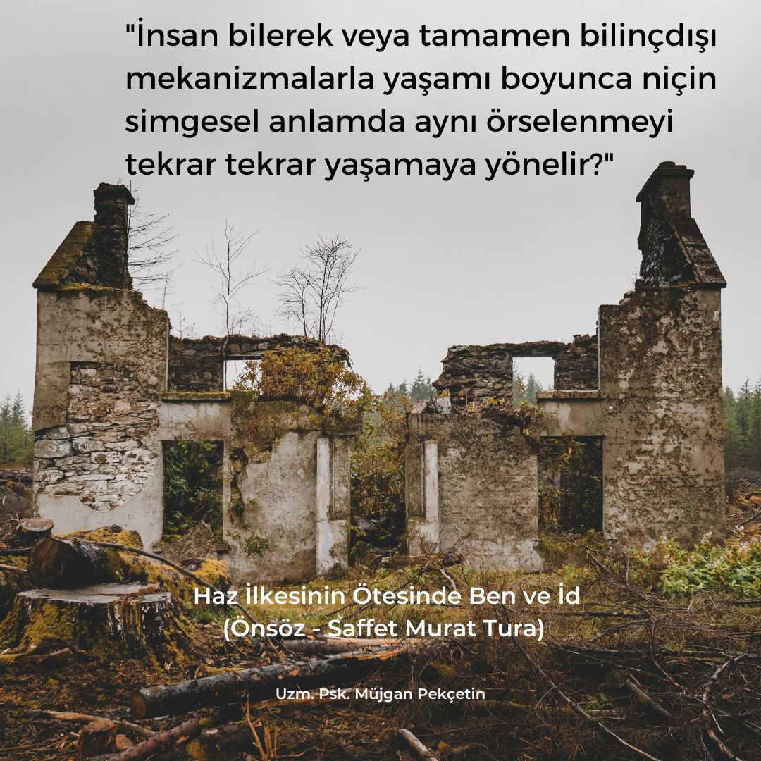 Müjgan Pekçetin-19