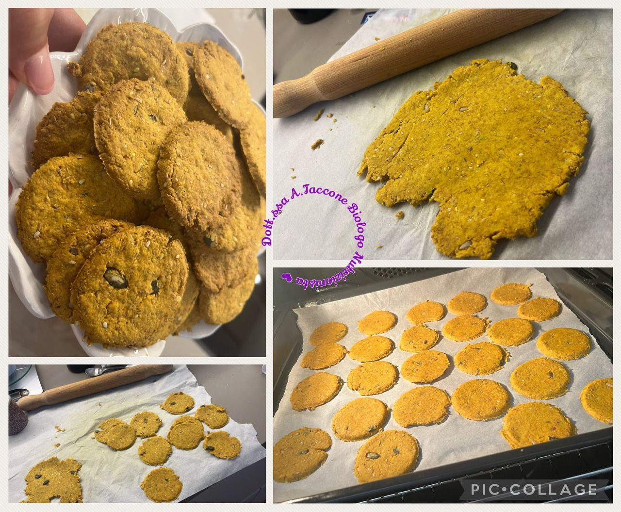 Annunziata Taccone-10