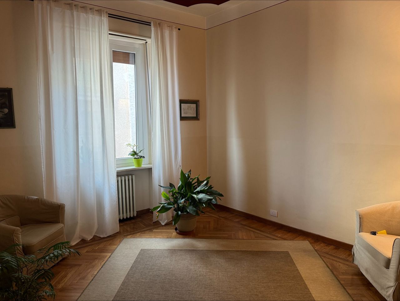 Celeste Gualinetti-0