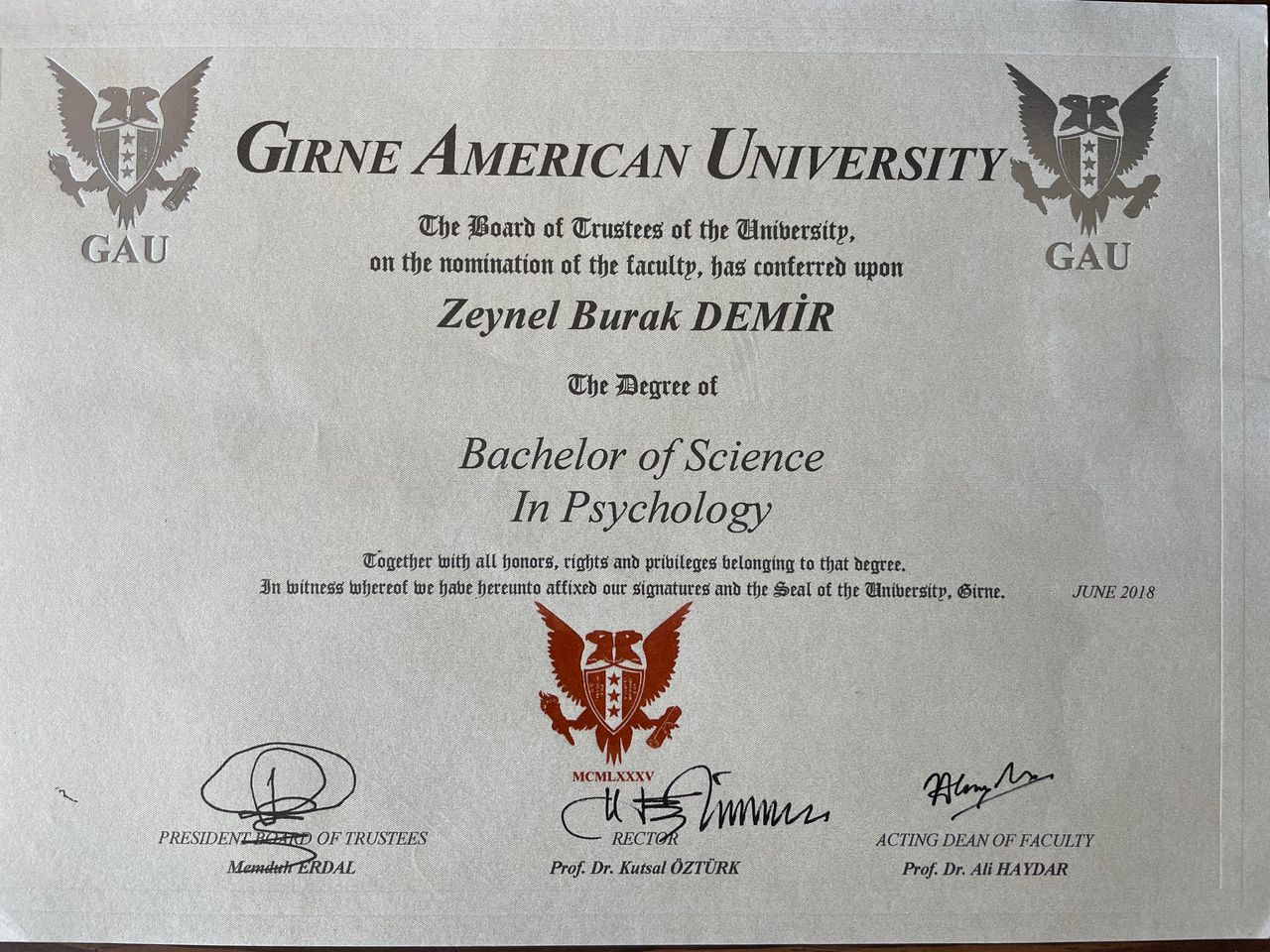 Z.burak Demir-1