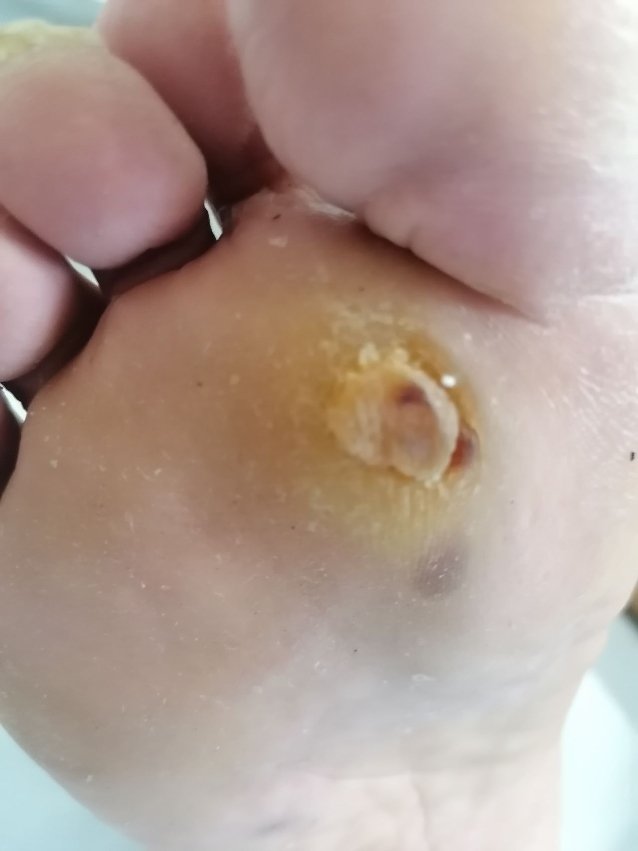 Kassandra Nicolosi-287