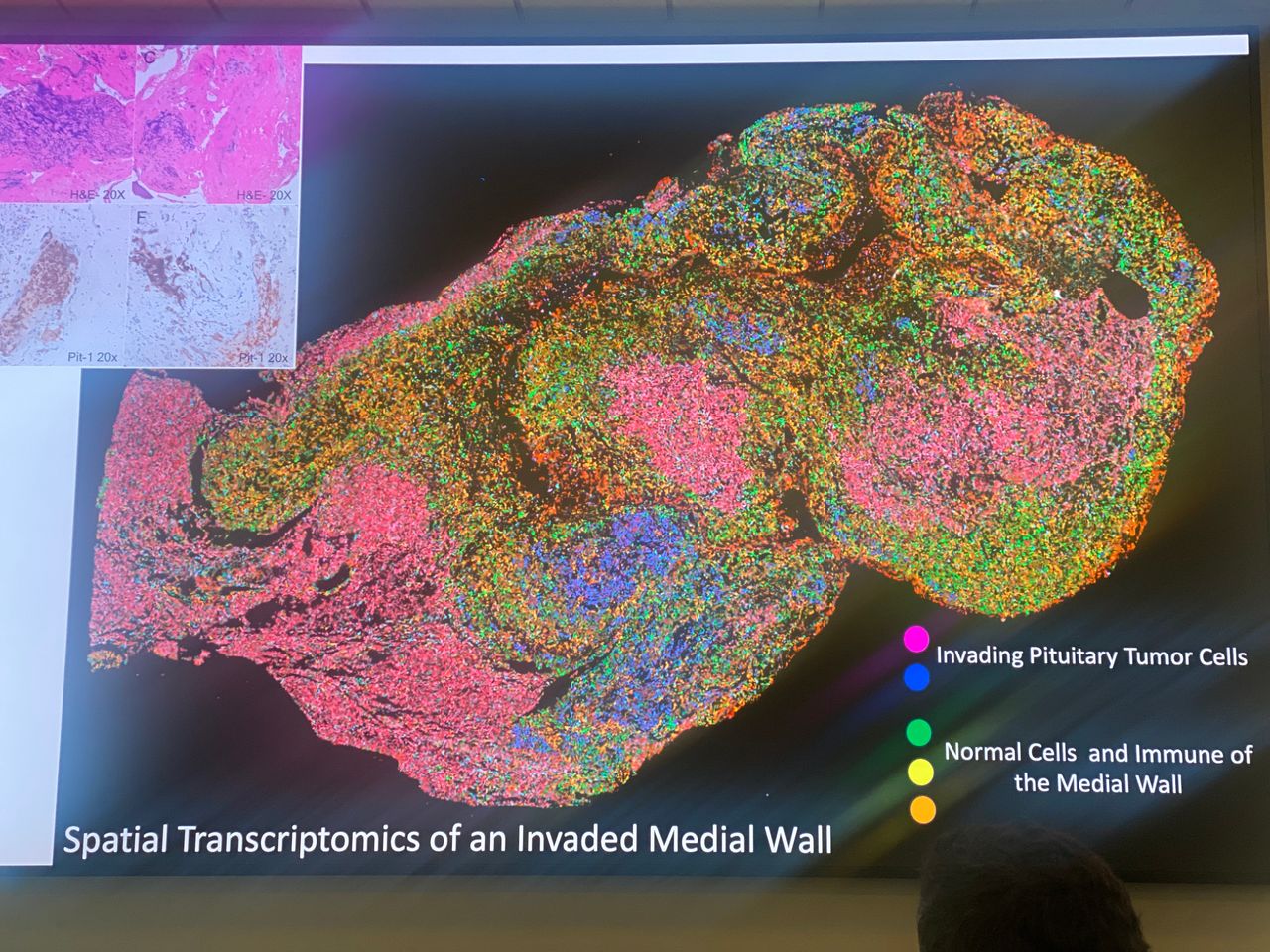Mirosław Stempniewicz-13
