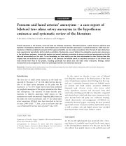 Francesco De Santis-5