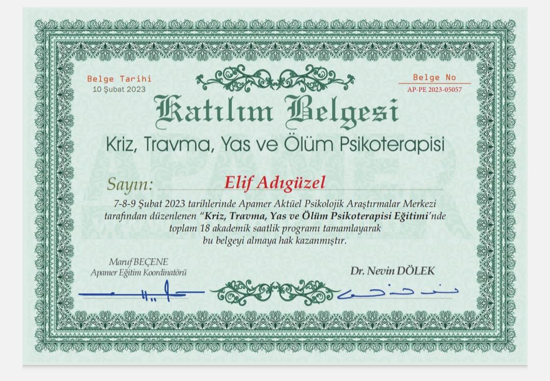 Elif Sevi Adıgüzel-15