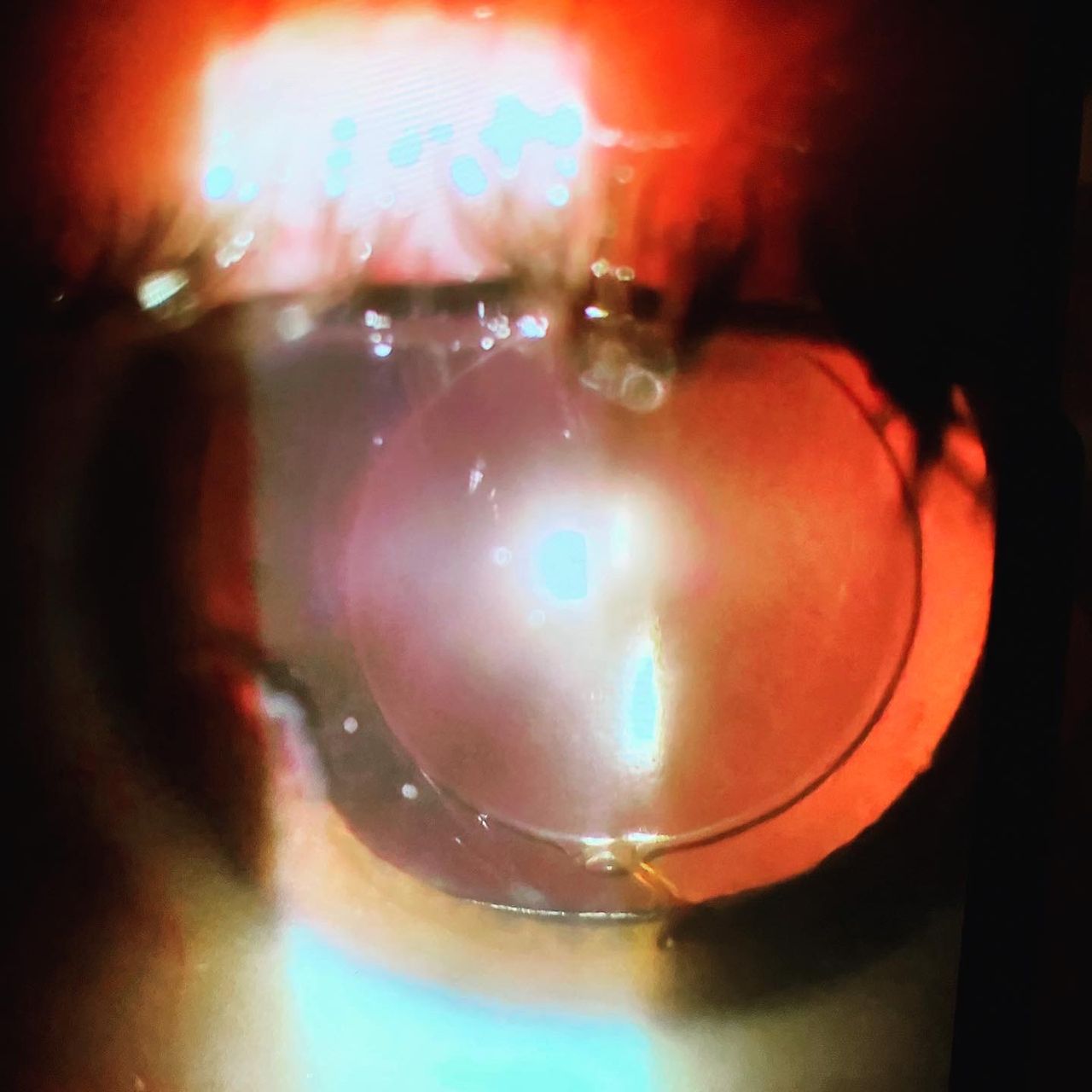 Francesco Giordano-9