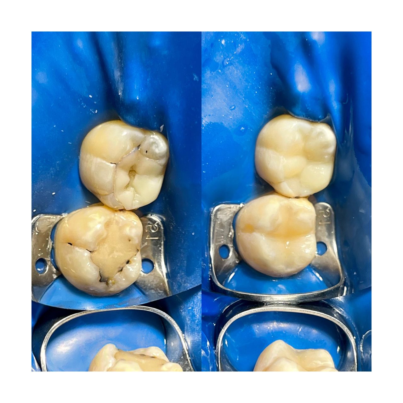 Kateryna Spravtseva-4