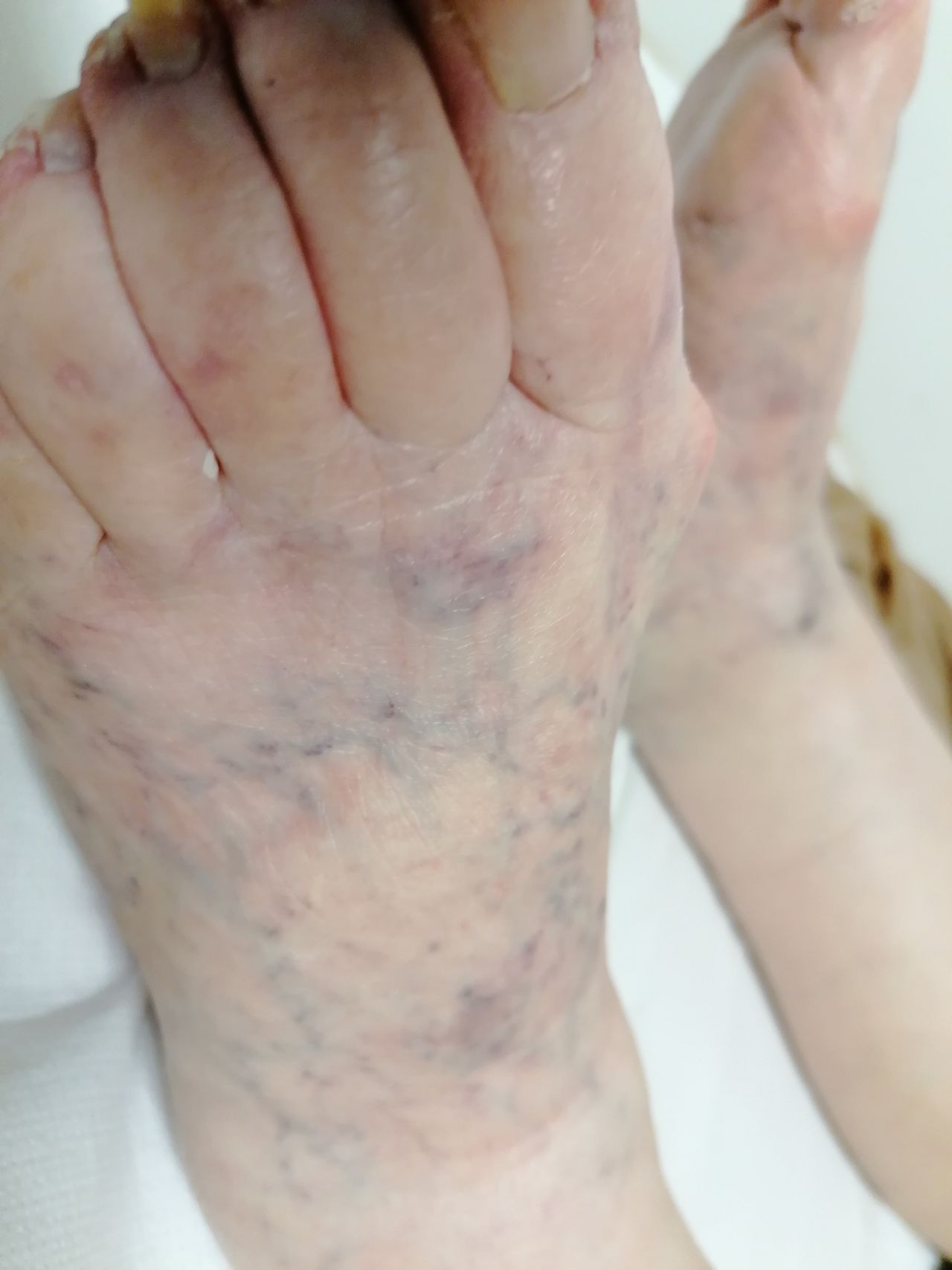 Kassandra Nicolosi-104