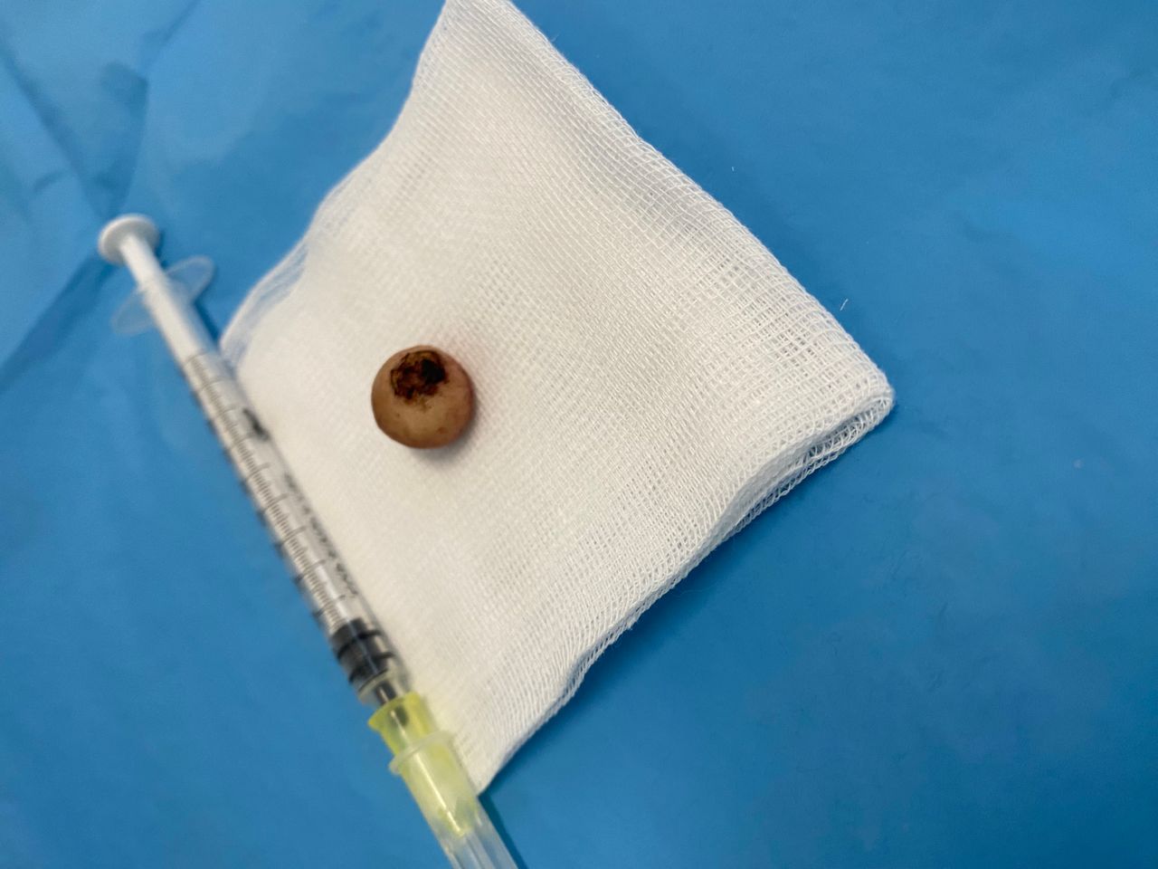 Silvia Melania Baio-24