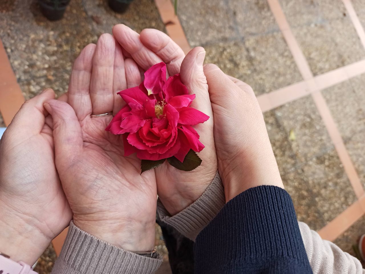 Paula Caballero Encina-2