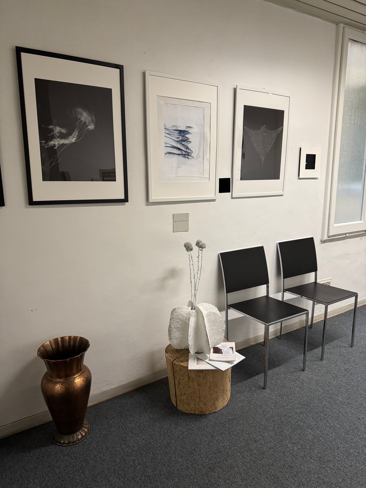 Valentina D'emilio-1