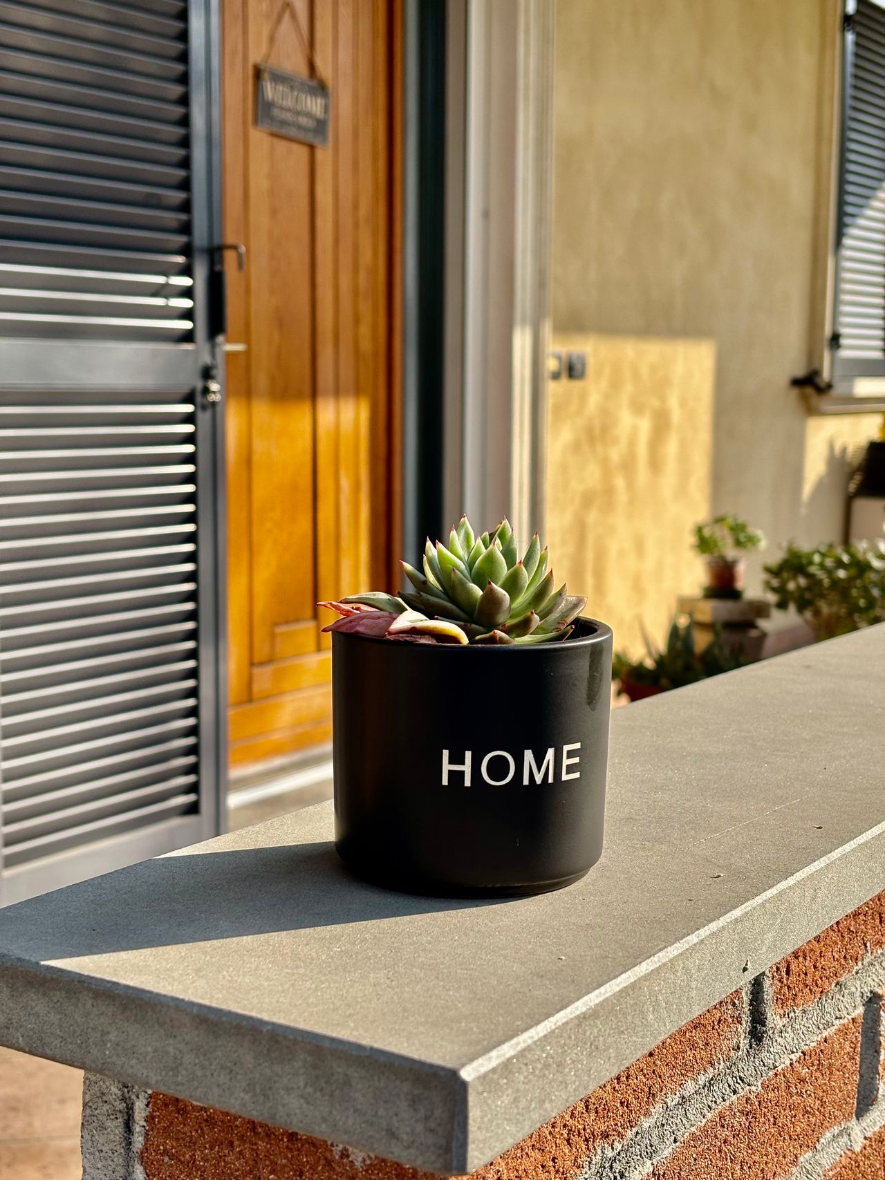 Claudia Fontanella-5